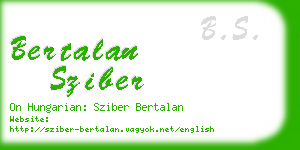 bertalan sziber business card